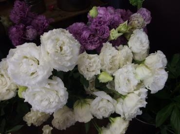 花もちが良くおすすめです。|「フラワーショップいまい」　（群馬県前橋市の花屋）のブログ
